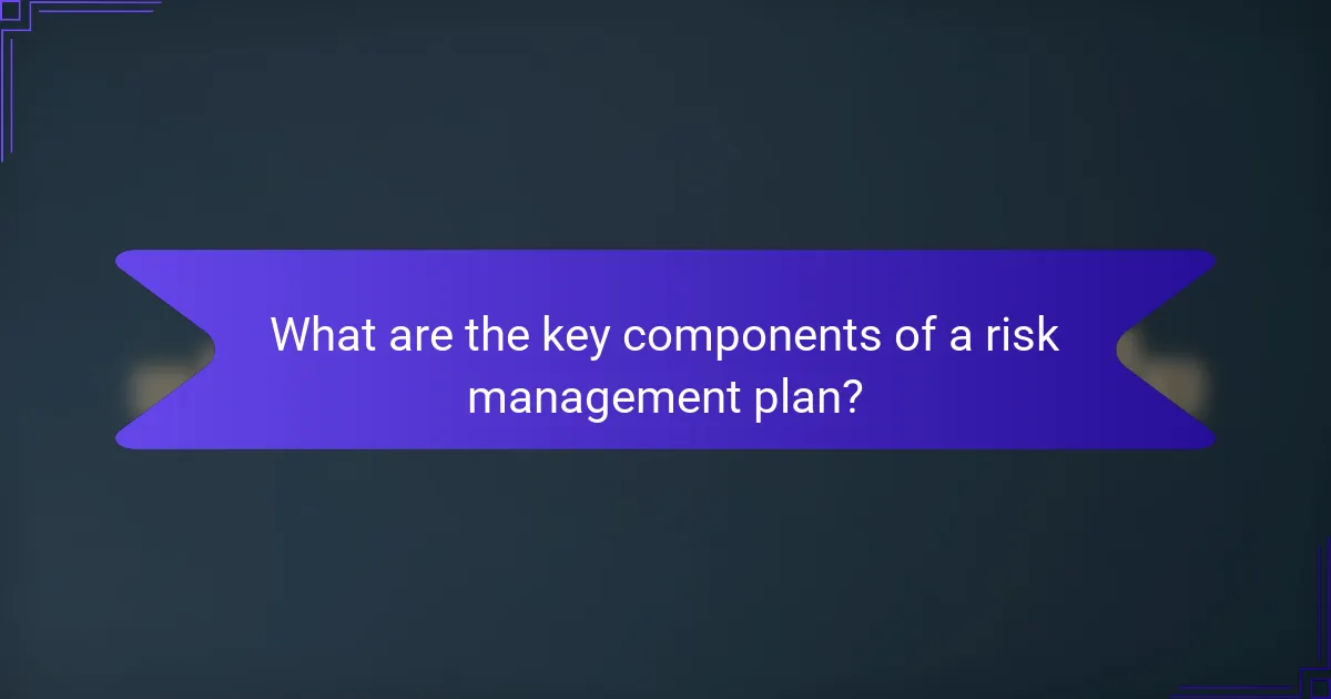 What are the key components of a risk management plan?